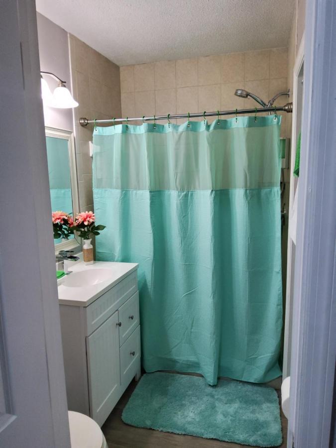 تامبا Beautiful Apartment Close To Everything المظهر الخارجي الصورة