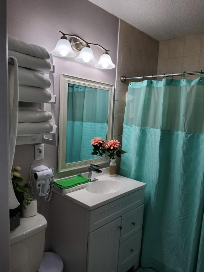 تامبا Beautiful Apartment Close To Everything المظهر الخارجي الصورة