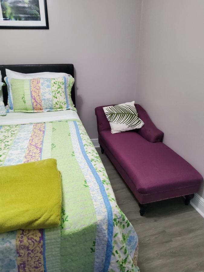 تامبا Beautiful Apartment Close To Everything المظهر الخارجي الصورة
