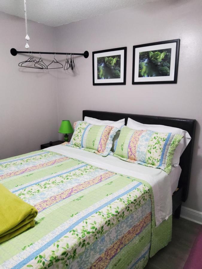 تامبا Beautiful Apartment Close To Everything المظهر الخارجي الصورة